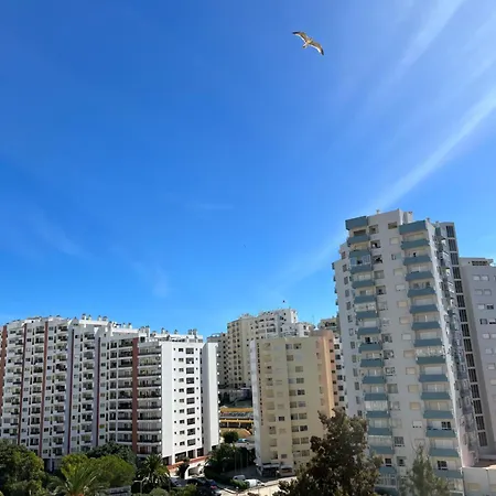 아파트 Aconchegante, Da Rocha 포티마오