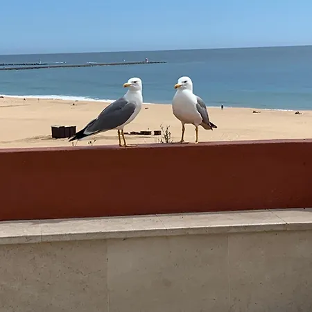 Aconchegante, Da Rocha Apartamento