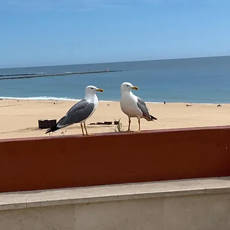 Aconchegante, Da Rocha Apartment Portimao